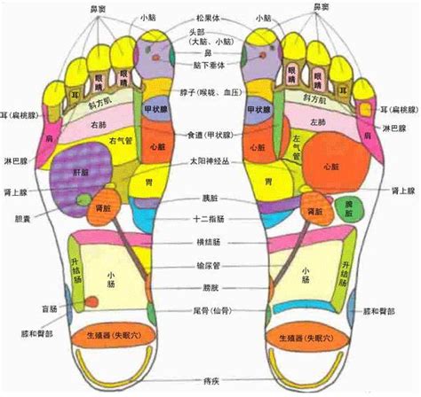 腳背突然長毛|腳背長毛在哪個位置最不吉利？